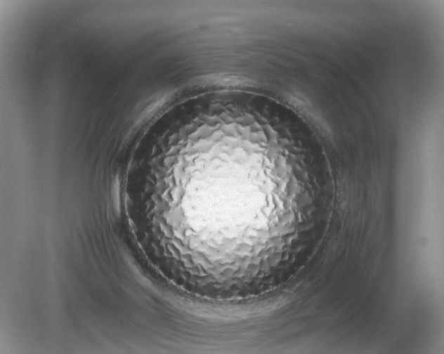 X0000079300014200611251725