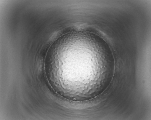 X0000079300018200611251725