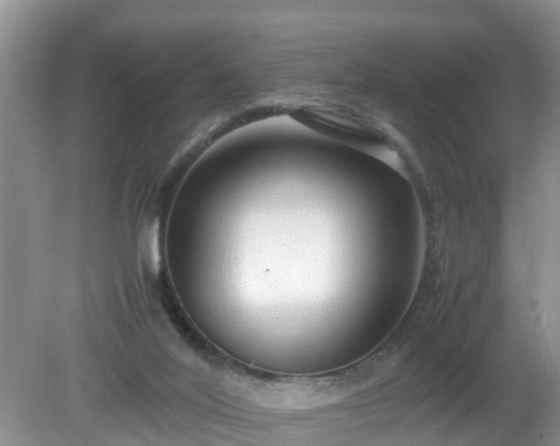 X0000079300020200611251725