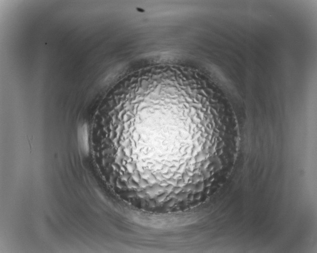 X0000079300022200611251725