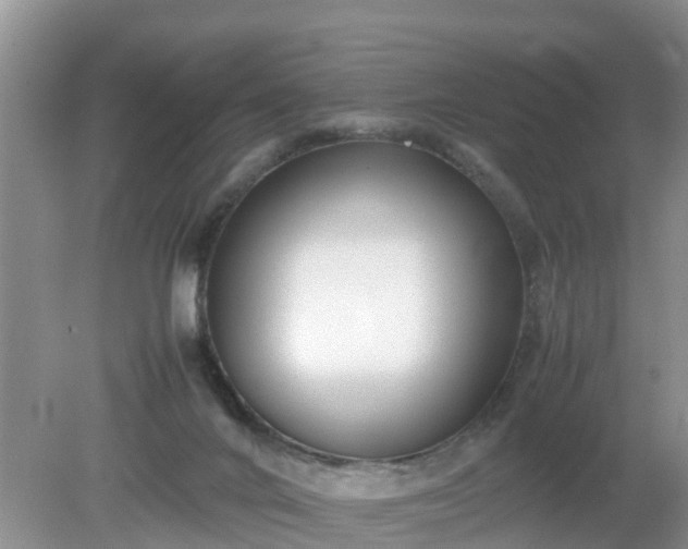 X0000079300024200611251724