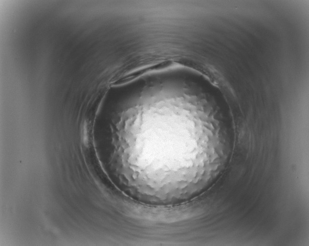 X0000079300026200611251724
