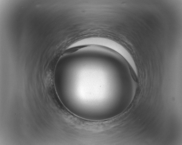 X0000079300029200611251724