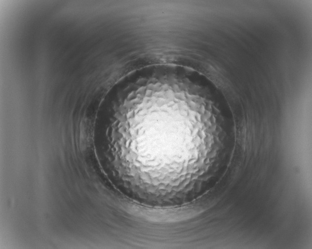 X0000079300030200611251724