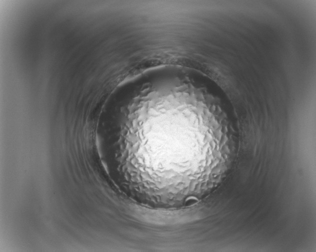 X0000079300034200611251724
