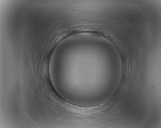 X0000079300035200611251724