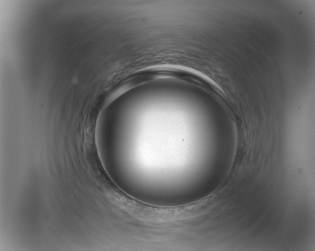 X0000079300037200611251724