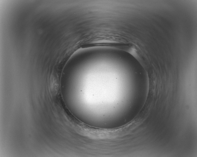 X0000079300040200611251724