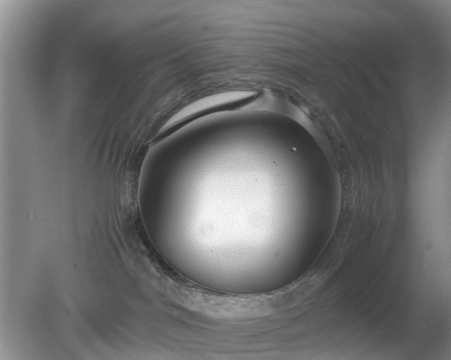 X0000079300044200611251724