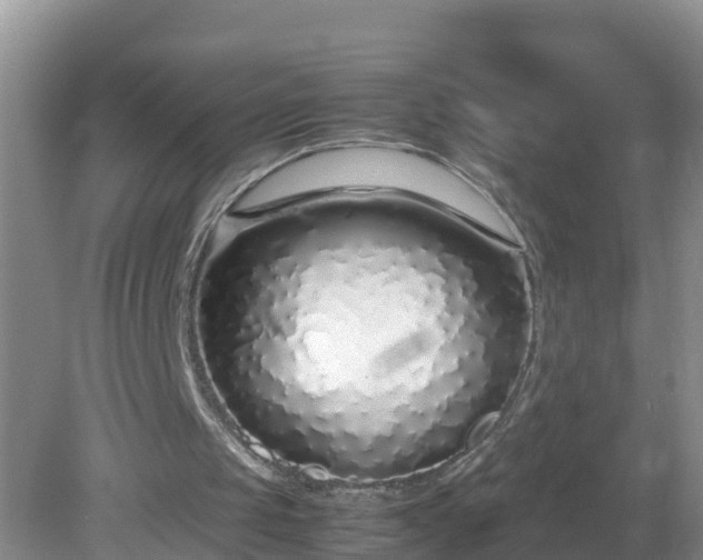 X0000079300049200611251723