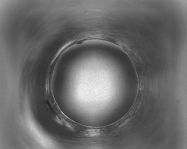X0000079300052200611251723