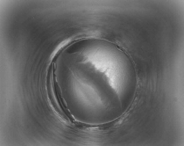 X0000079300054200611251723