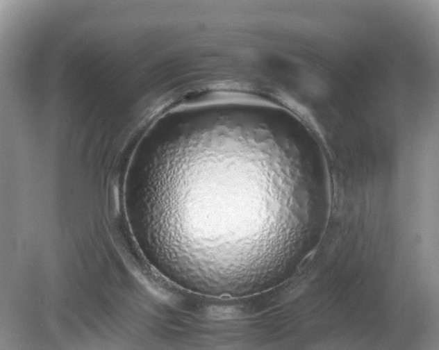 X0000079300061200611251723