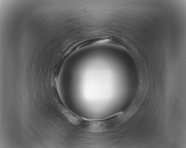 X0000079300096200611251724