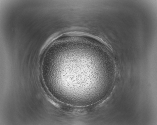 X0000079300101200611251723
