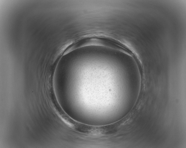 X0000079300105200611251723