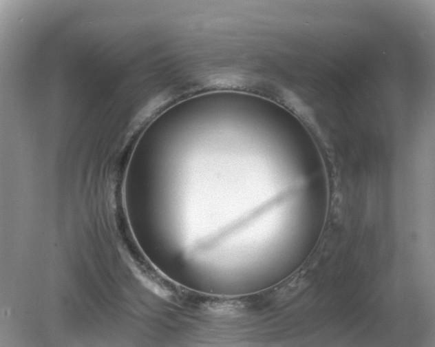 X0000079300106200611251723