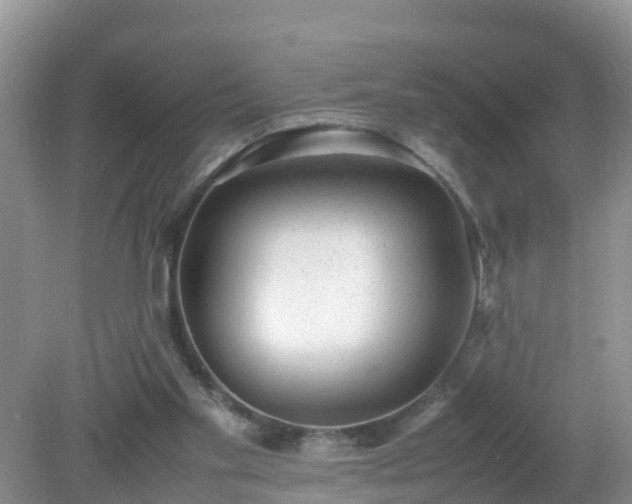 X0000079300109200611251723