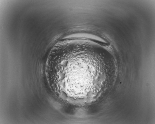 X0000079300115200611251723