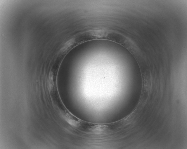 X0000079300128200611251723