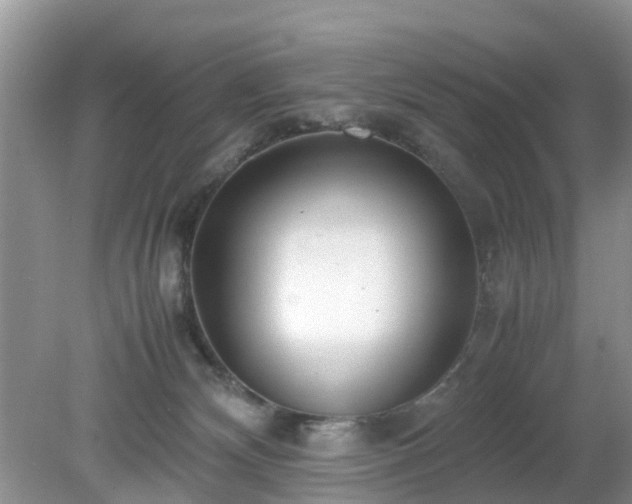 X0000079300132200611251723
