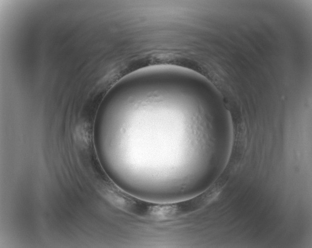 X0000079300135200611251723