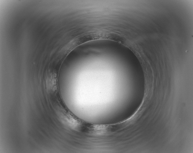 X0000079300144200611251722