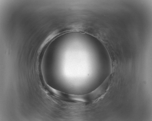 X0000079300150200611251722