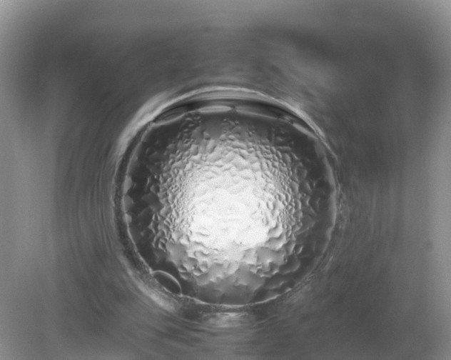 X0000079300151200611251722
