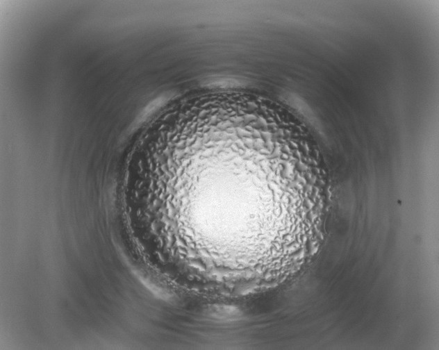 X0000079300159200611251722
