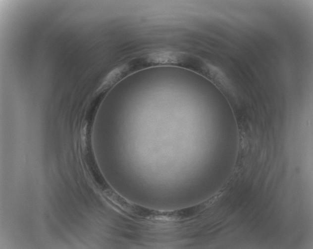 X0000079300163200611251722