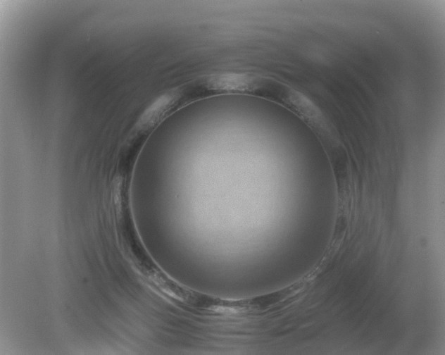 X0000079300167200611251722