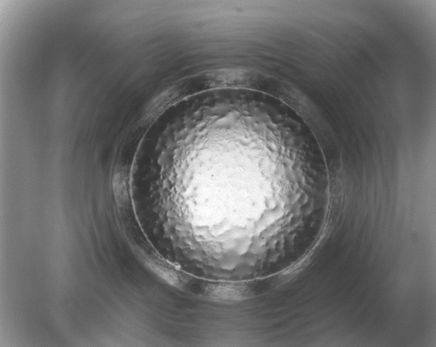 X0000079300191200611251722