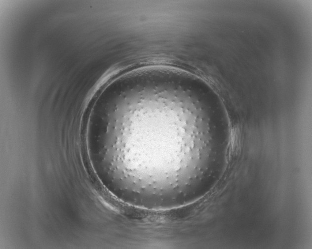 X0000079300195200611251722