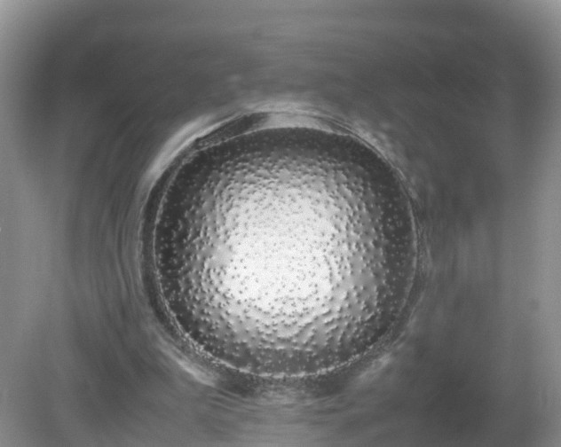 X0000079300199200611251722
