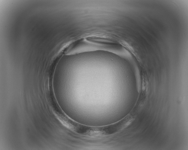 X0000079300205200611251721
