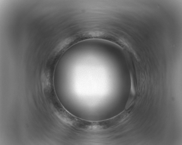 X0000079300212200611251721