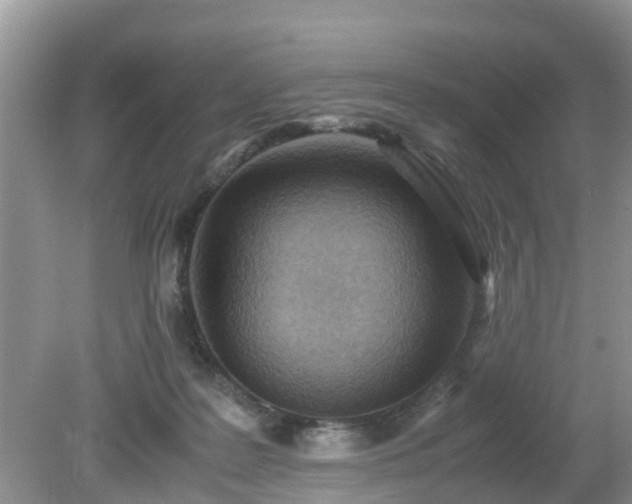 X0000079300219200611251721