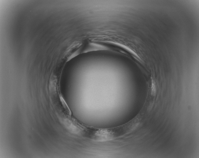 X0000079300231200611251721