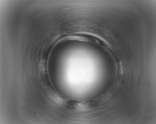 X0000079300232200611251721