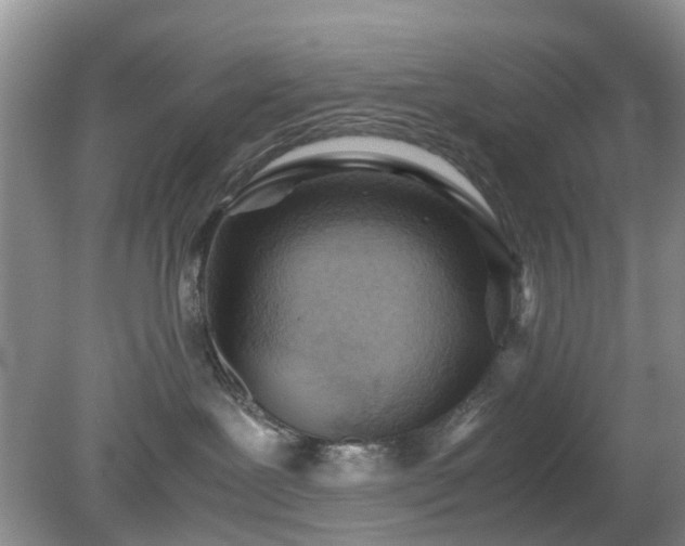 X0000079300239200611251721