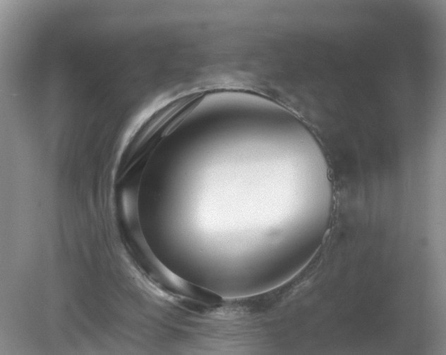 X0000079300248200611251720
