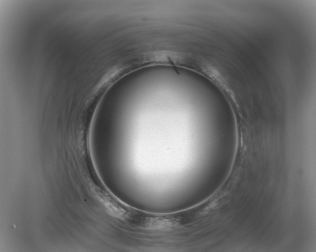 X0000079300249200611251720