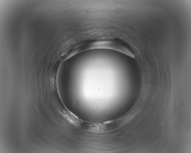 X0000079300288200611251721