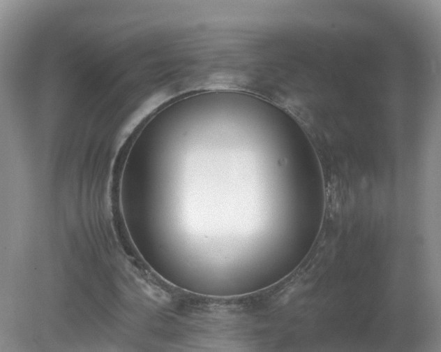 X0000079300292200611251720