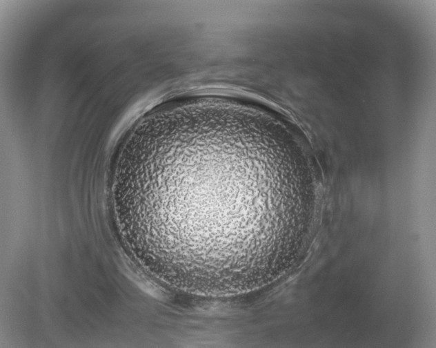 X0000079300293200611251720