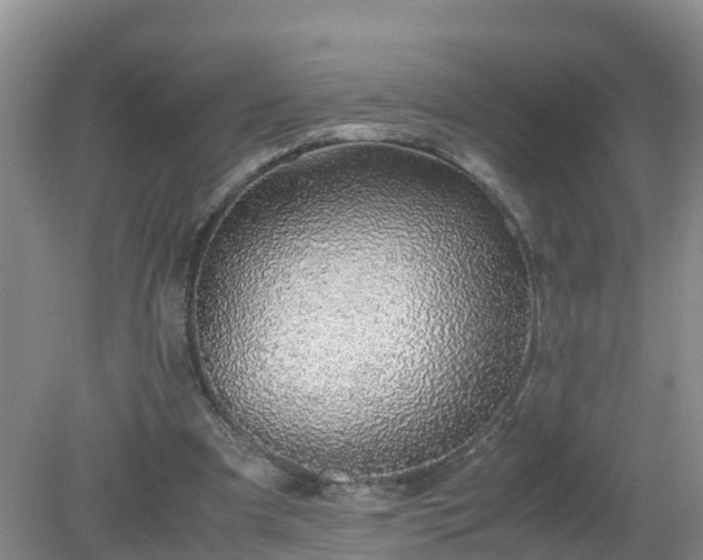 X0000079300297200611251720