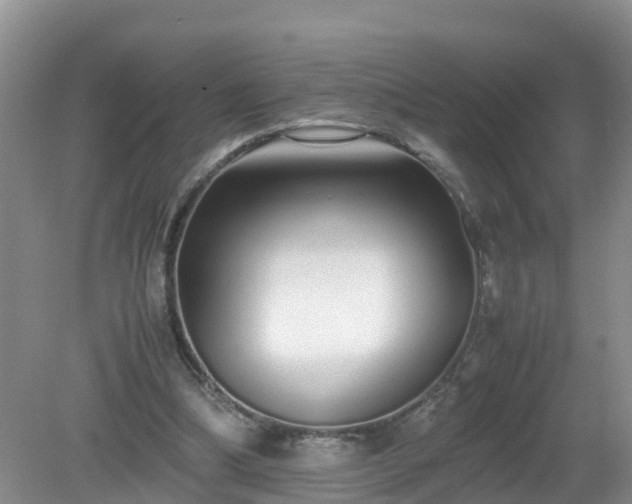 X0000079300298200611251720