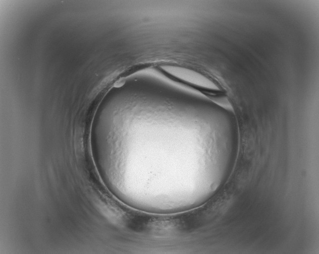 X0000079300299200611251720