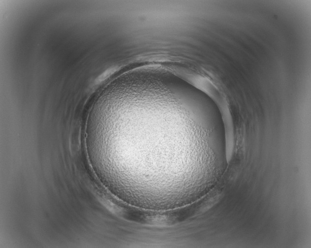X0000079300301200611251720